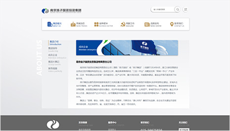 公司网站 设计方案_分公司或子公司网站是否可以备案到总公司备案中  第1张